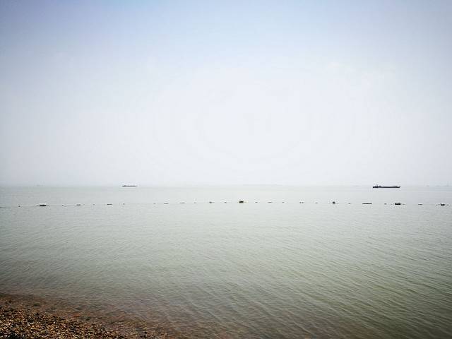 稻屯洼国家城市湿地公园