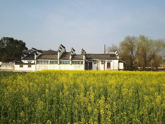 绿能林业生态园