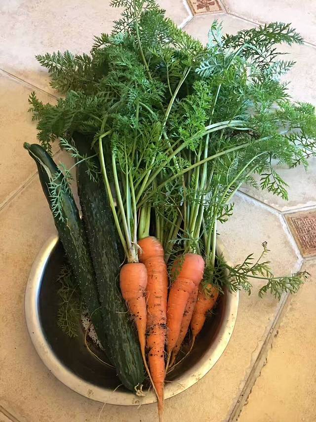 喵的天空名猫咖啡馆·撸猫·猫舍·用品