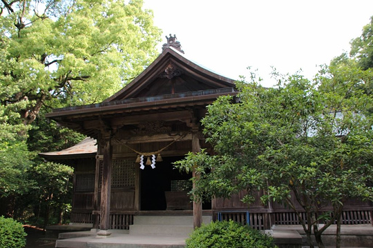 江田神社旅游景点图片