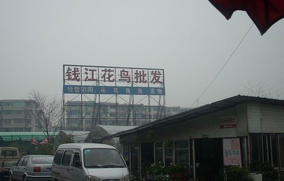 钱江花鸟市场旅游景点图片