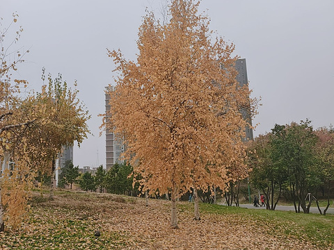 青年路旅游景点图片