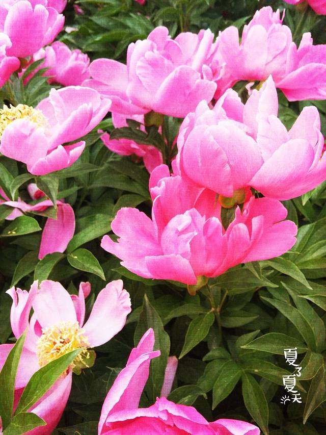 州河国家湿地公园