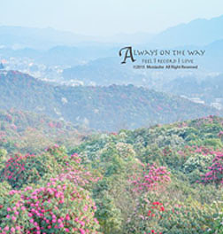 百里杜鹃风景区