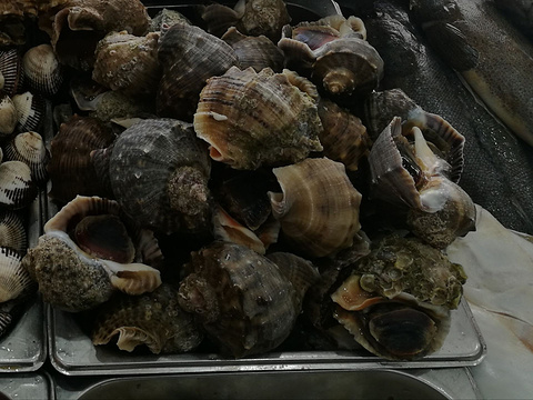 五月花贝壳海鲜餐厅旅游景点图片