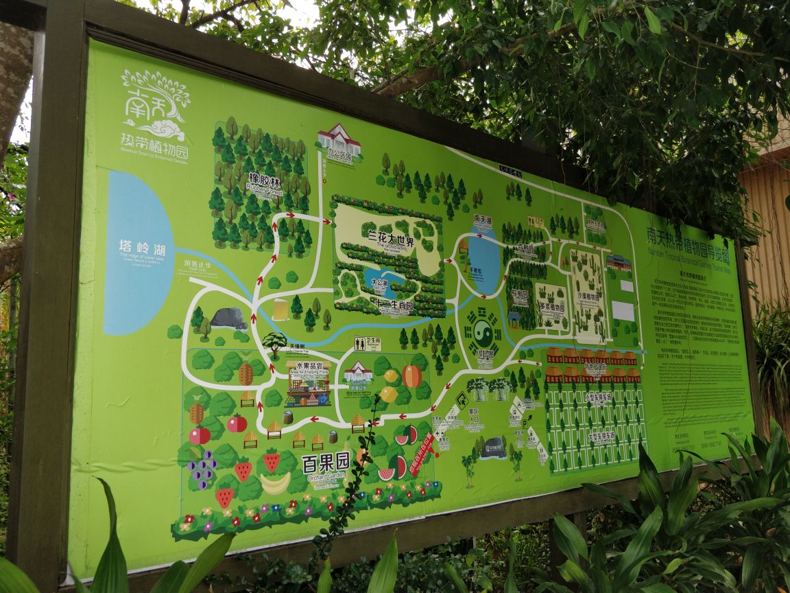 东莞植物园导游图图片
