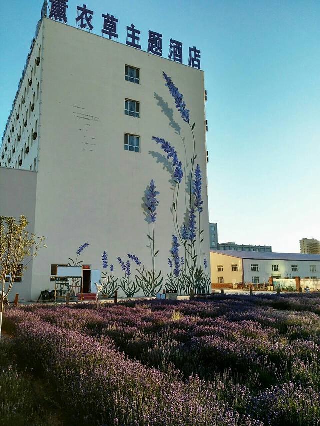 紫苏丽人薰衣草创意产业园