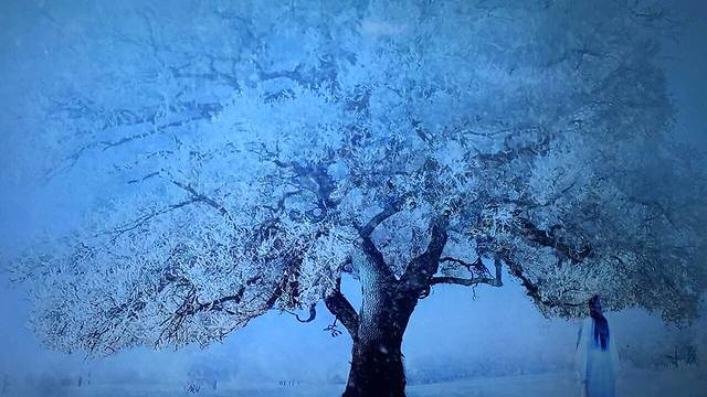 远洲国际大酒店自助餐厅