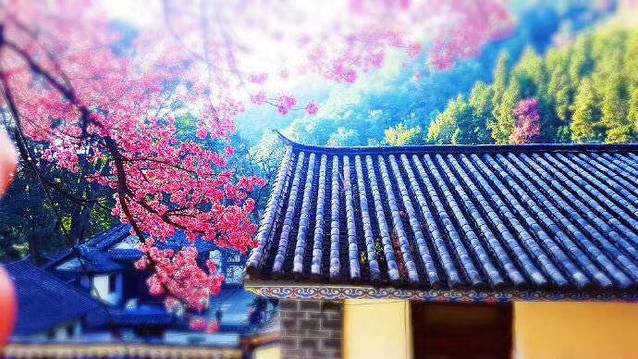 大连市普兰店区博物馆