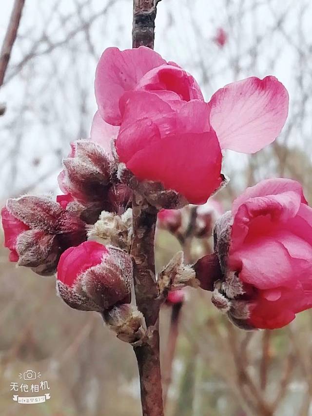 博罗东山省级森林公园