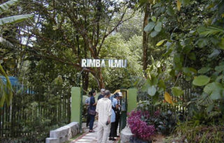 马大文博植物园