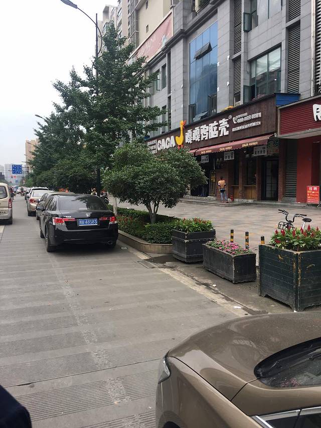 嘎嘎鸭脑壳(大丰店)