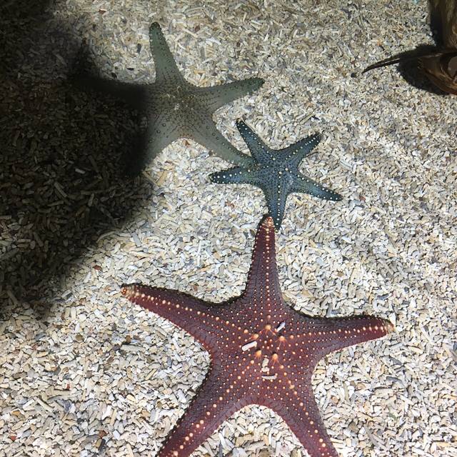 连云港海州湾海洋乐园