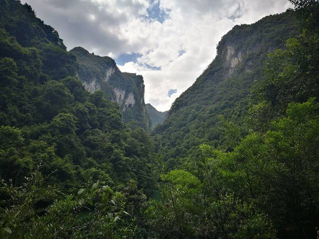 茂兰喀斯特森林保护区
