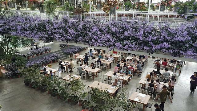 香草菲菲 芳香植物博物馆