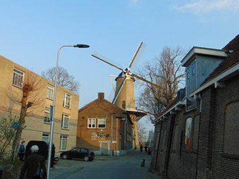 Red Lion Windmill (Molen De Roode Leeuw)旅游景点图片