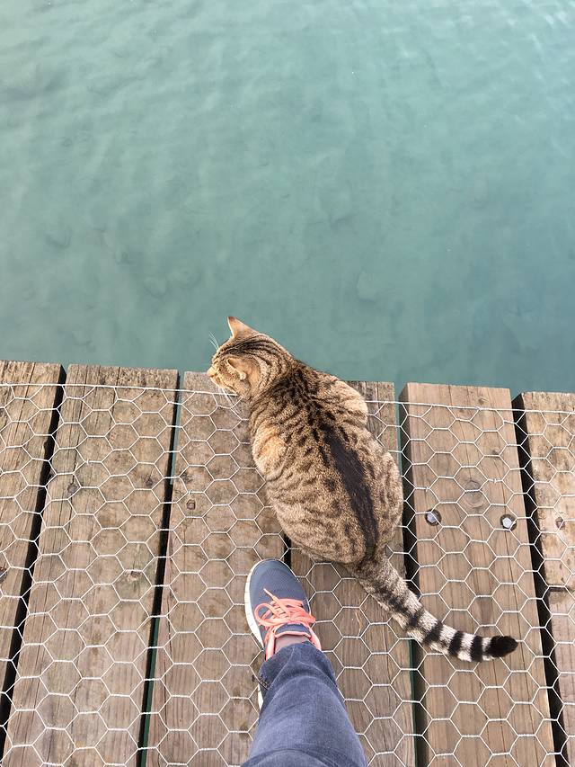 Revolution Tours - Pedal to Paradise