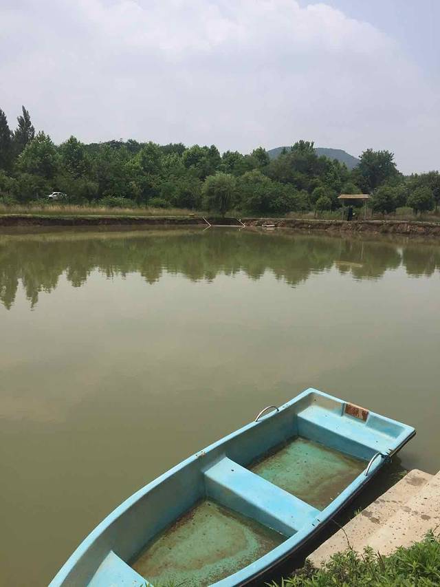 渔歌生态农庄农家乐