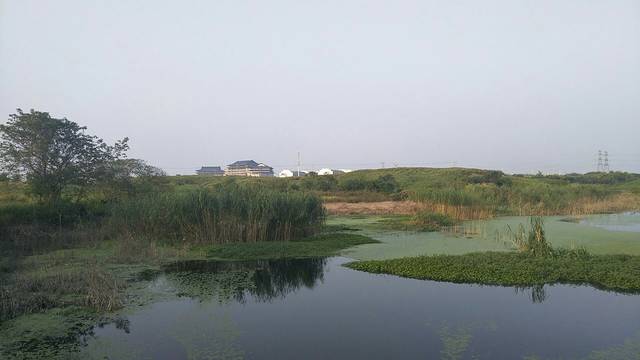 中央公园-林荫山地园