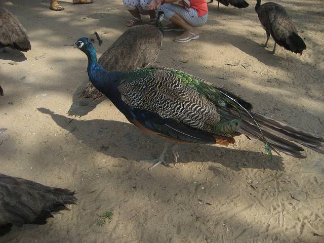 月牙湖中国北方民族园景区