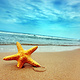 Star Beach