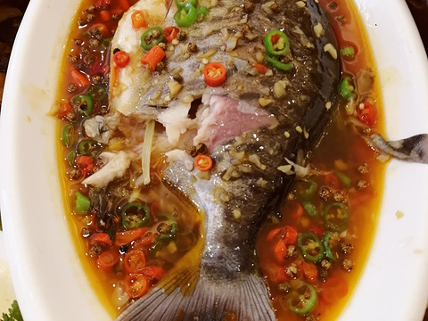 柳树植物生态园旅游景点图片