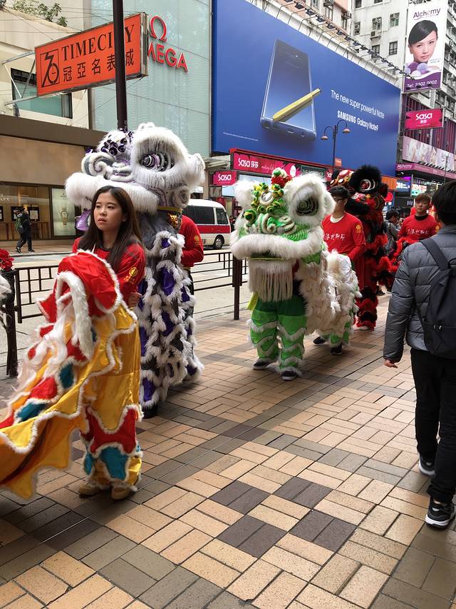 香港龙狮节