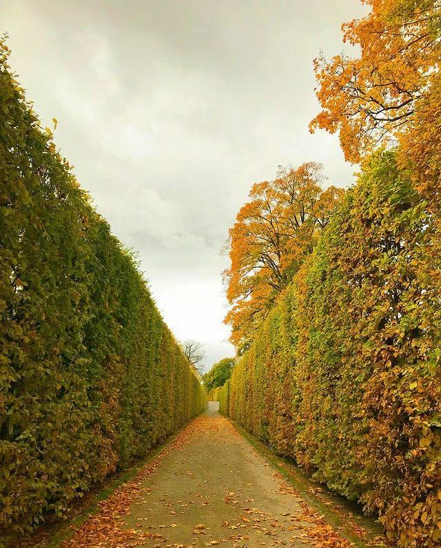 克鲁姆洛夫后山