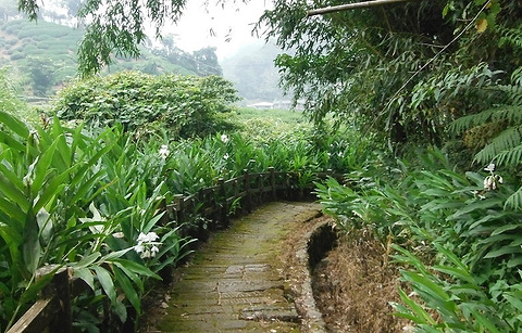 Yejianghua River Trail的图片