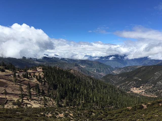 西藏芒康滇金丝猴国家级自然保护区