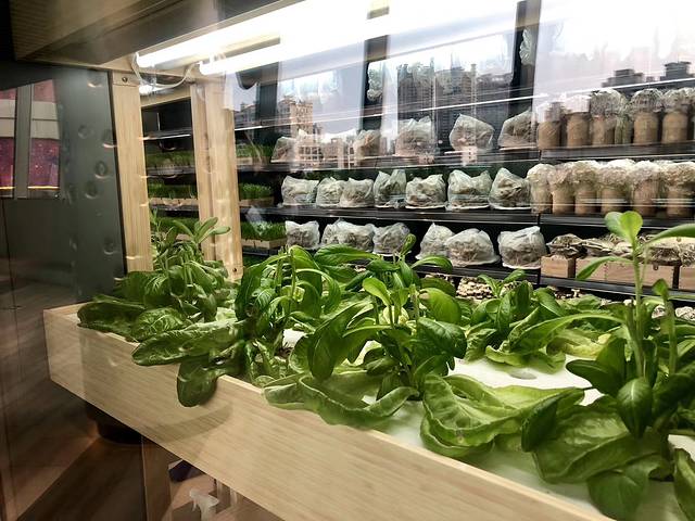 熊猫老灶火锅(北外滩·白玉兰广场店)