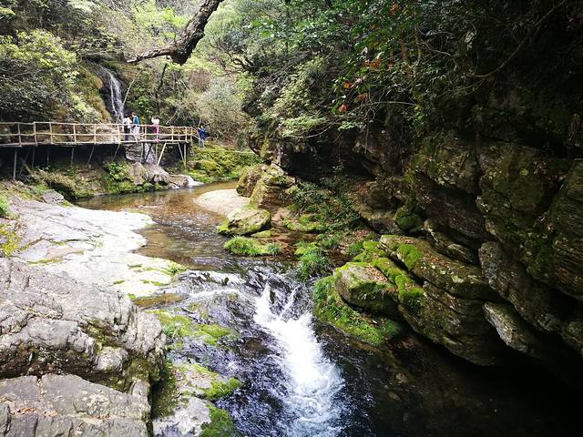 大山村硒露缘农家乐