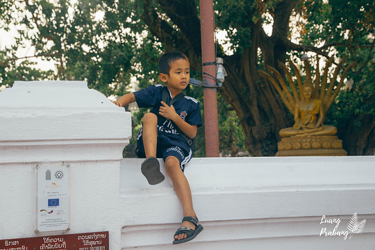维苏纳拉特寺旅游景点图片