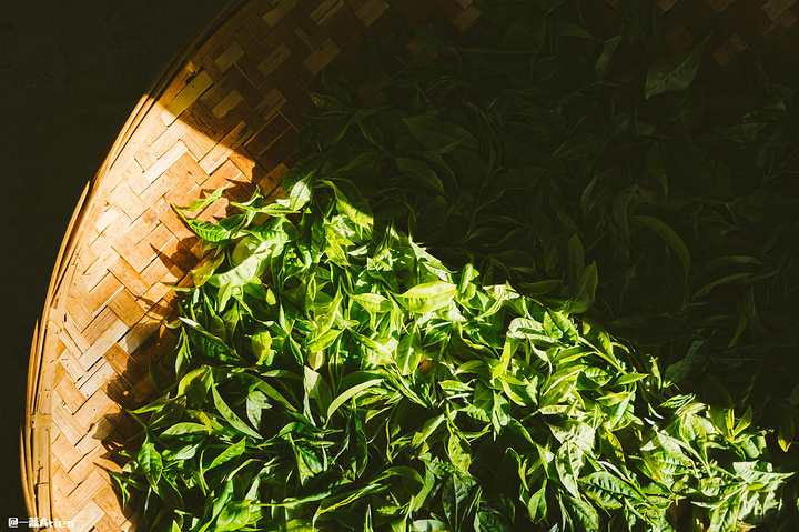 "它是整个茶博览苑的中心，也是观看万亩茶园的最佳观景台。每一站都非常的精彩，每一种体验都不容错过_中华普洱茶博览苑"的评论图片