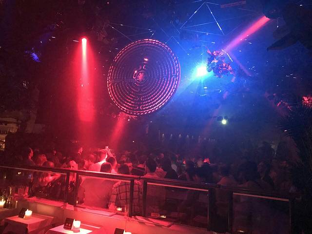 伊维萨帕恰俱乐部