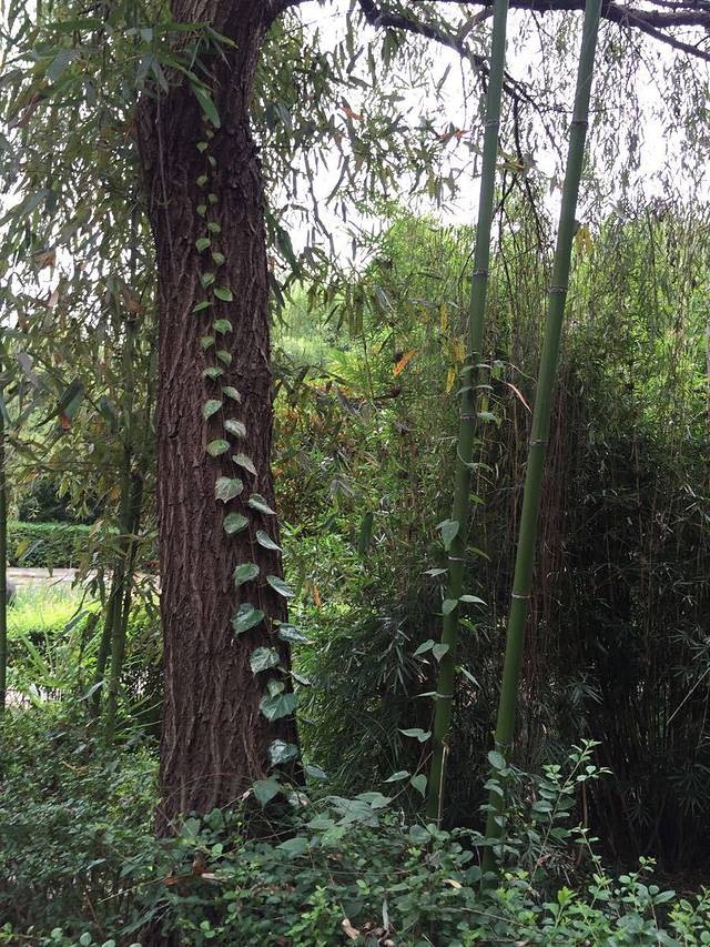 刘志丹烈士陵园