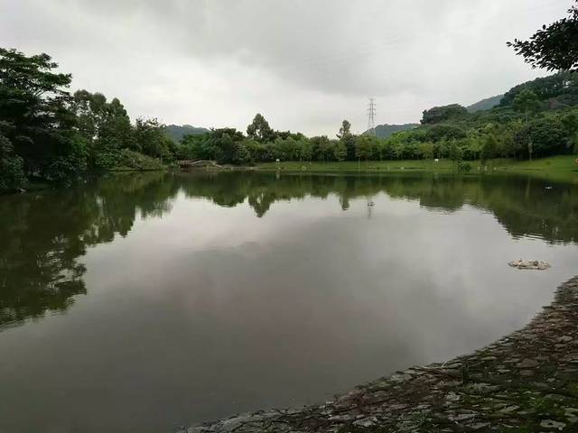 凤凰山森林公园