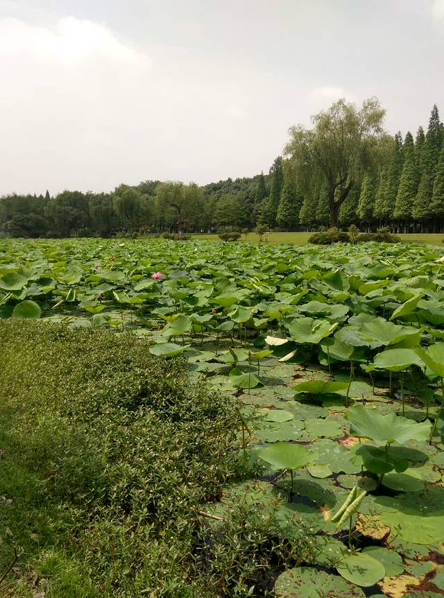永和豆浆(城南店)