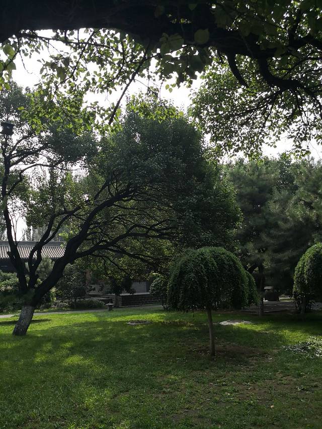 南豆芽清真寺(豆瓣胡同)