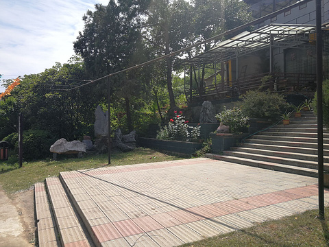 巢湖庐江奇石馆