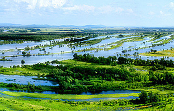 七星河湿地国家级自然保护区旅游景点图片