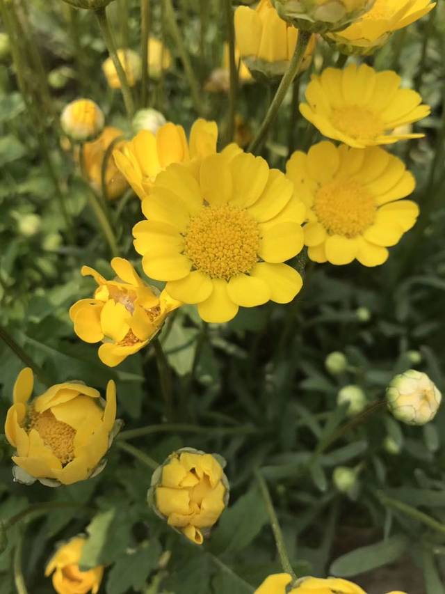 正北峪自然风景区