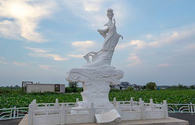 金湖荷花荡景区