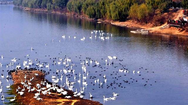双龙湖湿地公园