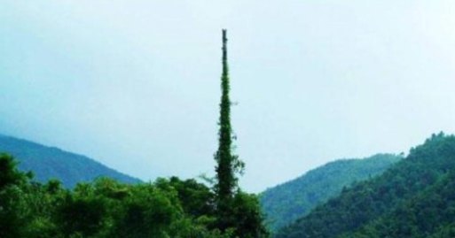 瑶山大峡谷漂流景区