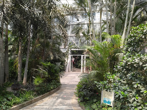热带植物展览温室-小卖部旅游景点图片