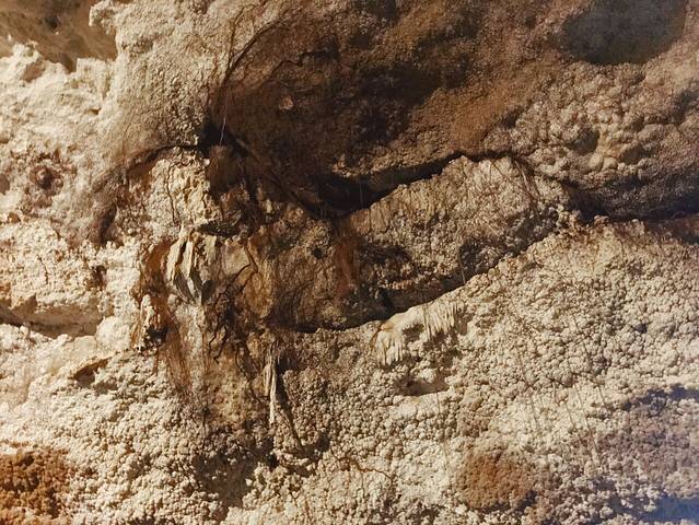 Yucatan Cenotes Mexico