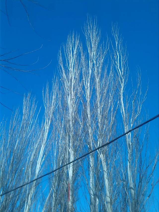 驼铃梦坡沙漠生态景区
