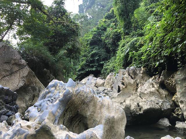 花鱼洞国家森林公园