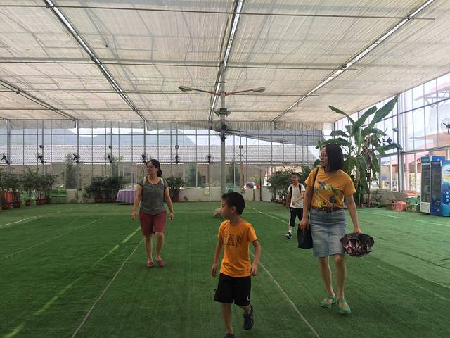 艾利斯玫瑰庄园